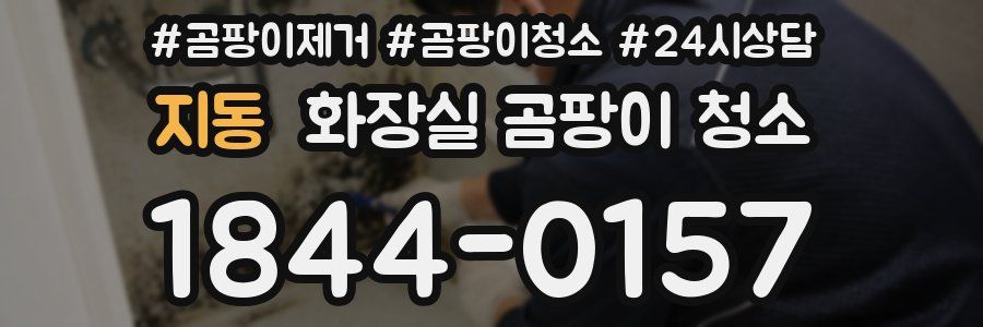 지동 화장실 곰팡이 청소