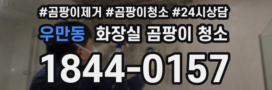 우만동 화장실 곰팡이 청소