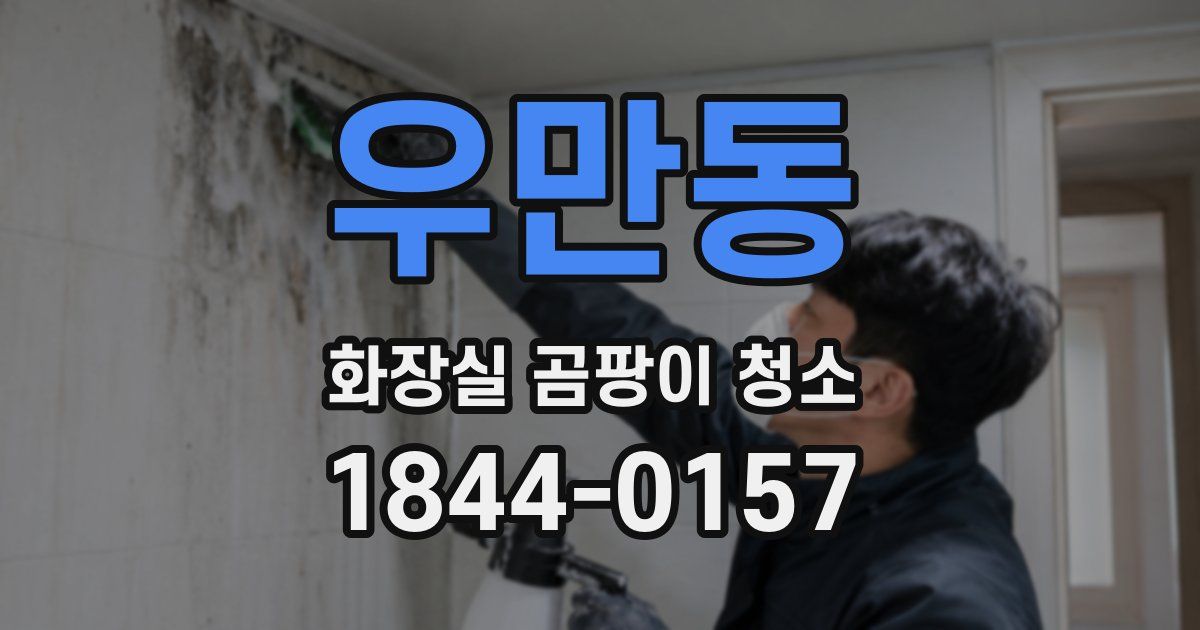우만동 화장실 곰팡이 청소