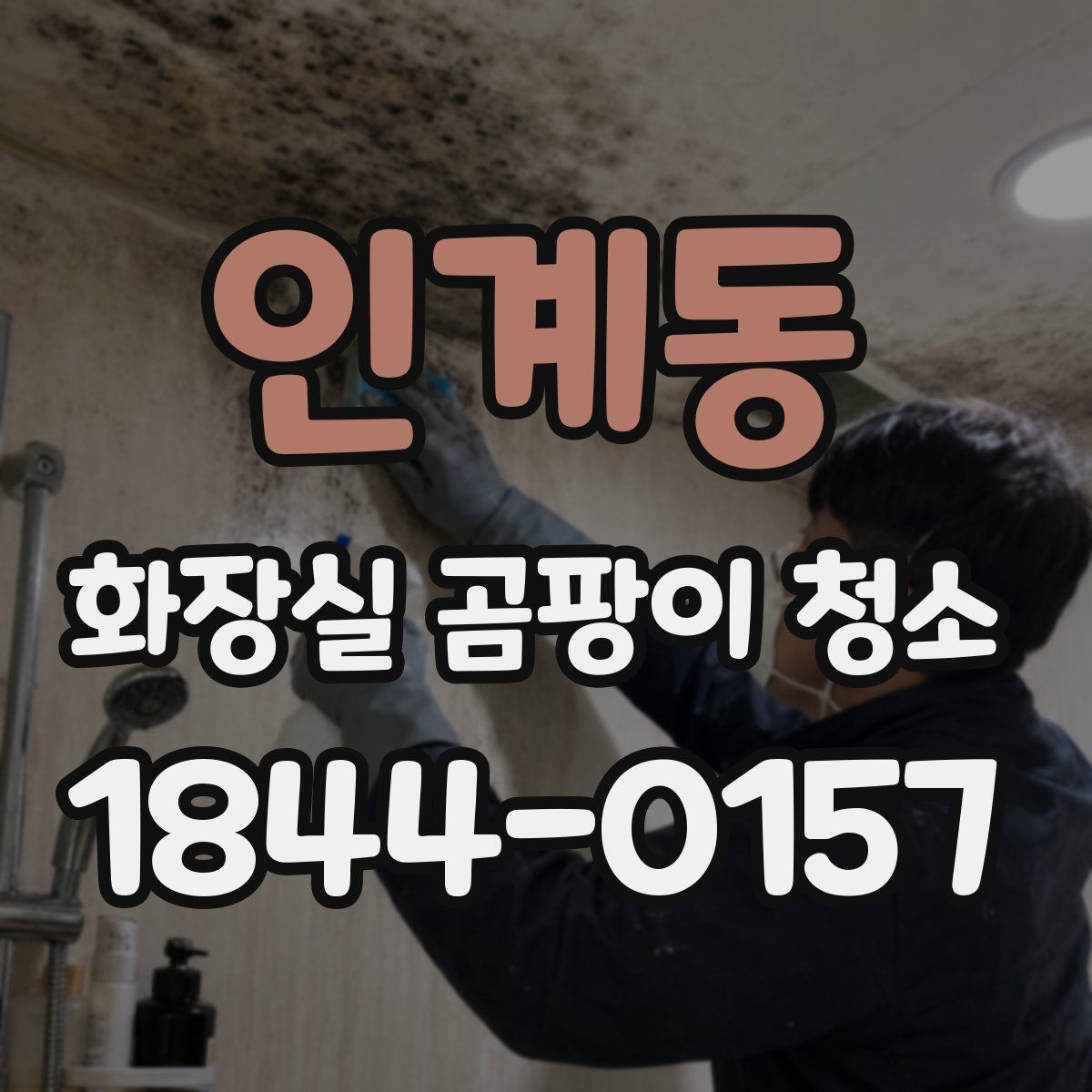인계동 화장실 곰팡이 청소