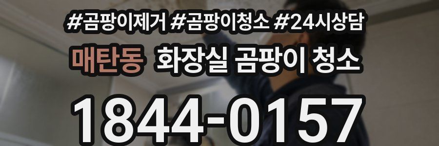 매탄동 화장실 곰팡이 청소