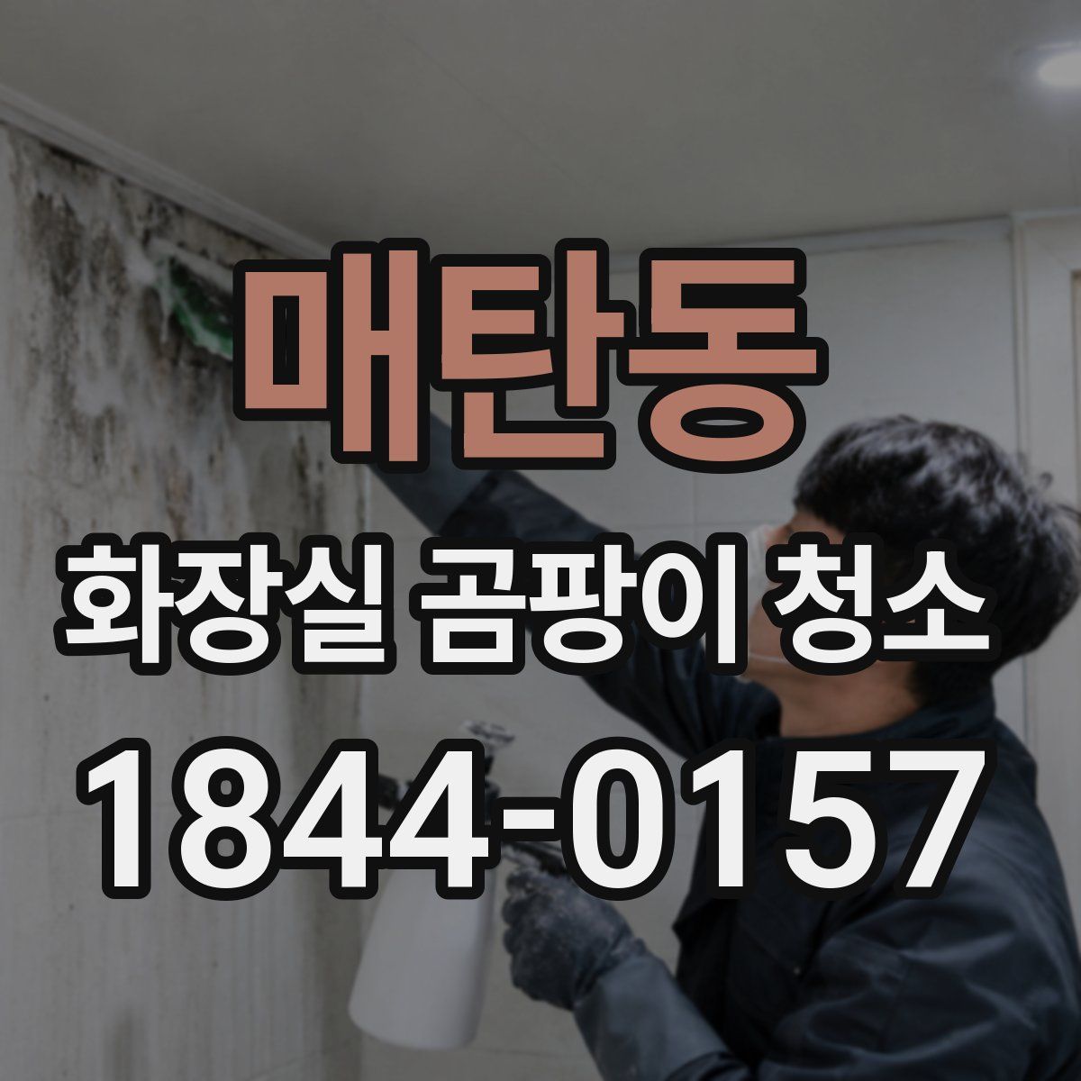 매탄동 화장실 곰팡이 청소