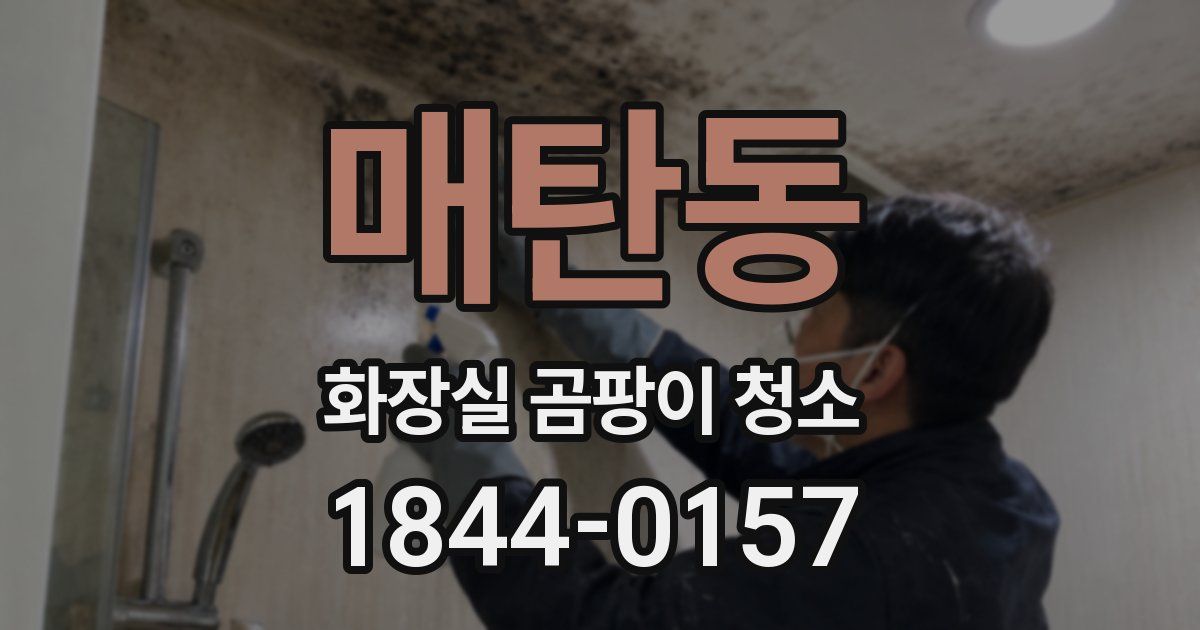 매탄동 화장실 곰팡이 청소