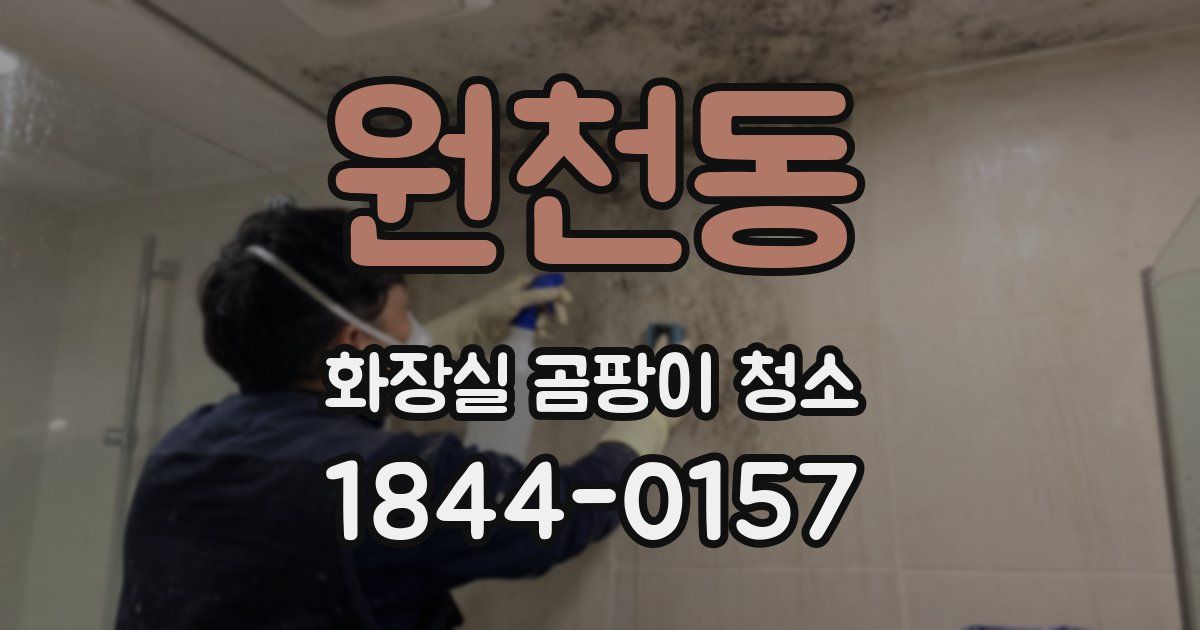 원천동 화장실 곰팡이 청소