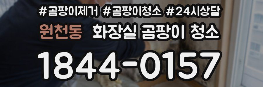 원천동 화장실 곰팡이 청소