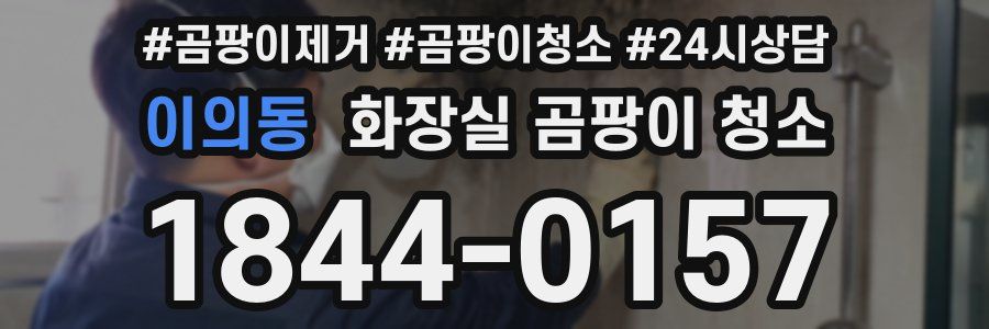 이의동 화장실 곰팡이 청소