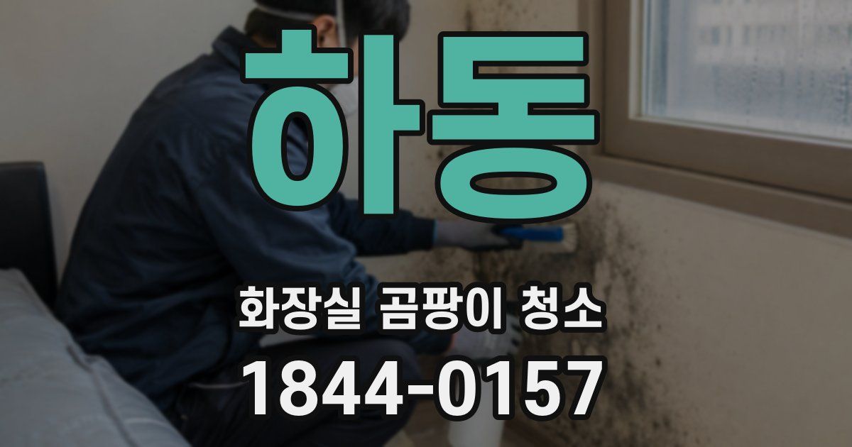 하동 화장실 곰팡이 청소
