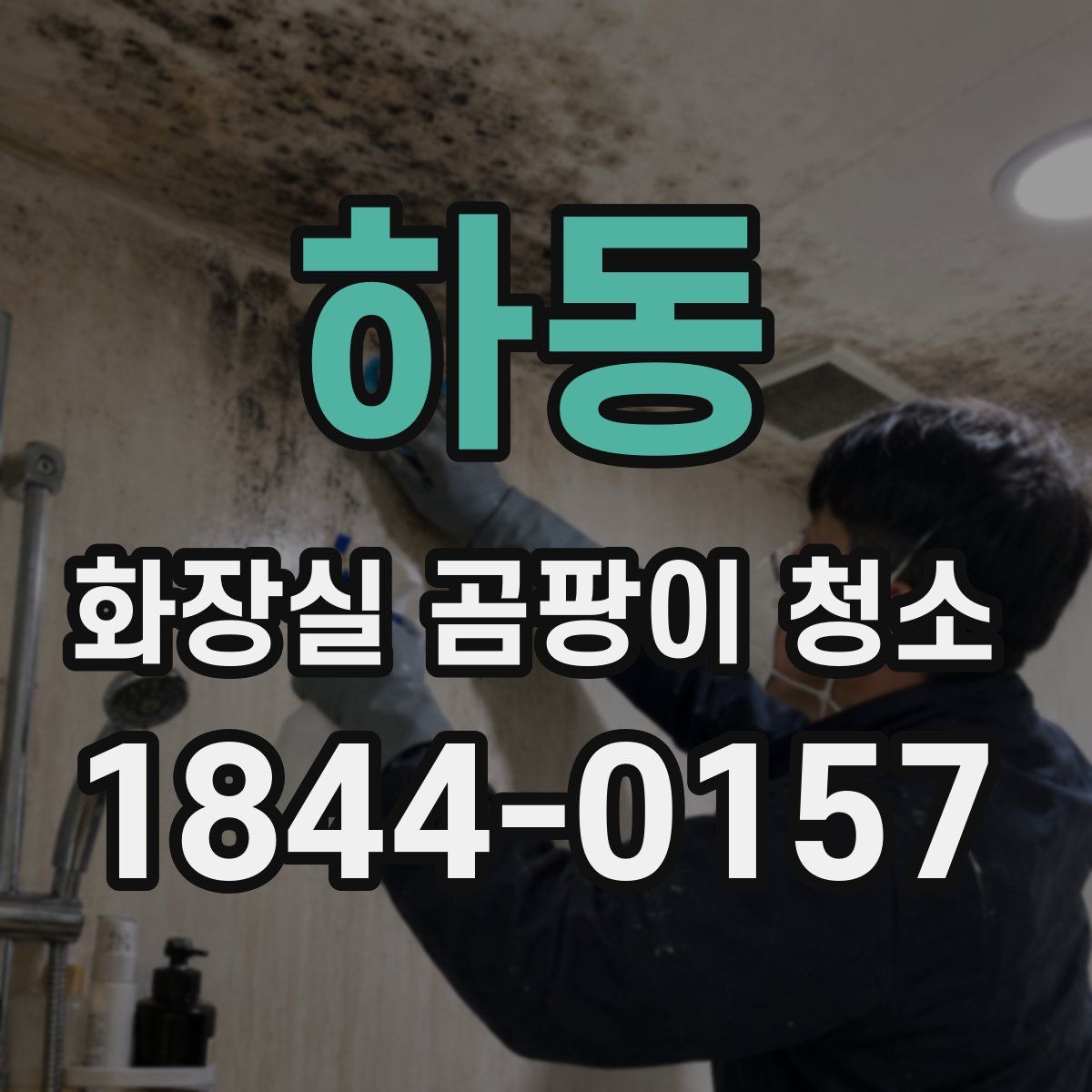 하동 화장실 곰팡이 청소