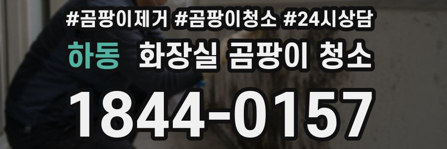 하동 화장실 곰팡이 청소