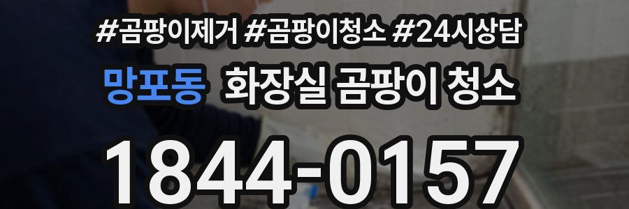 망포동 화장실 곰팡이 청소