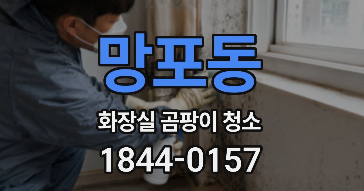 망포동 화장실 곰팡이 청소