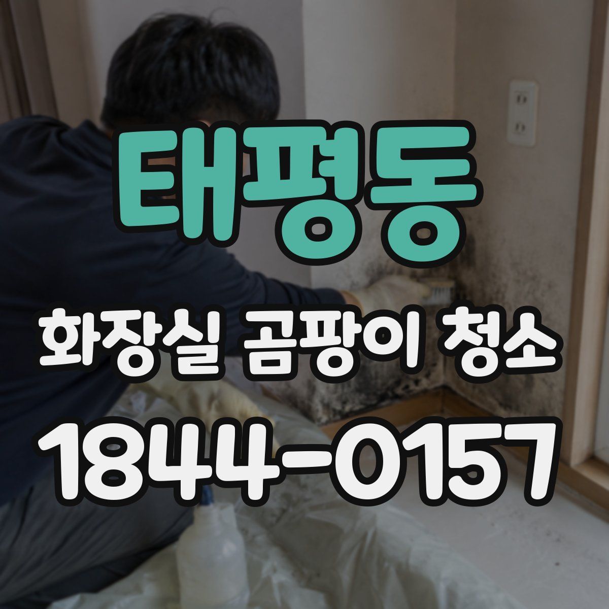 태평동 화장실 곰팡이 청소