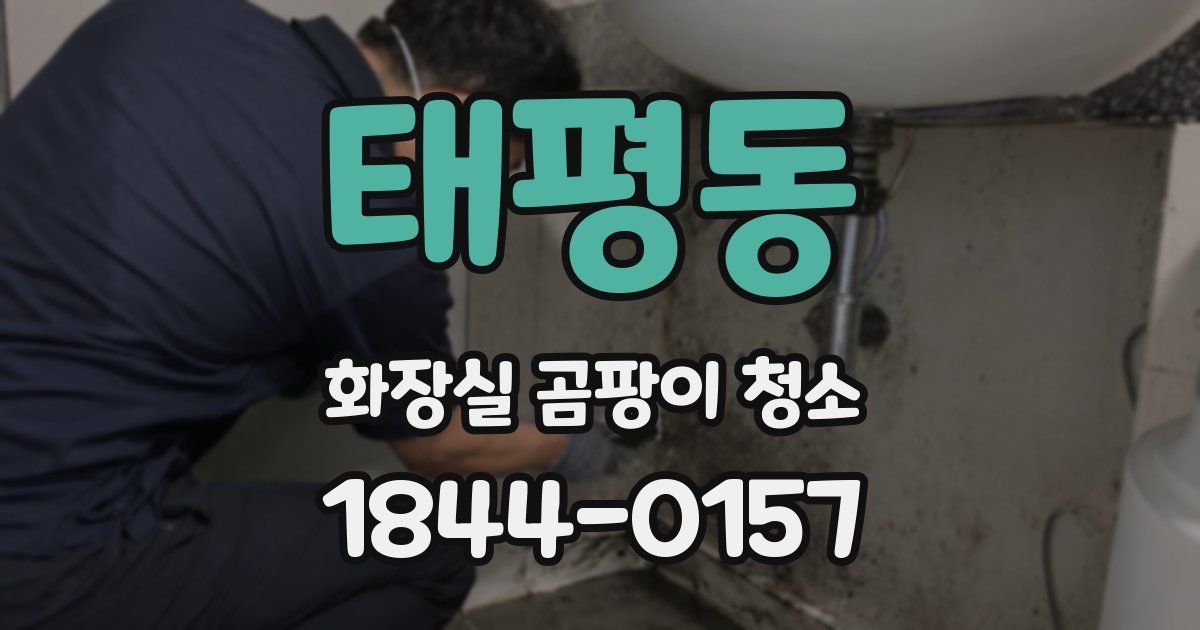 태평동 화장실 곰팡이 청소