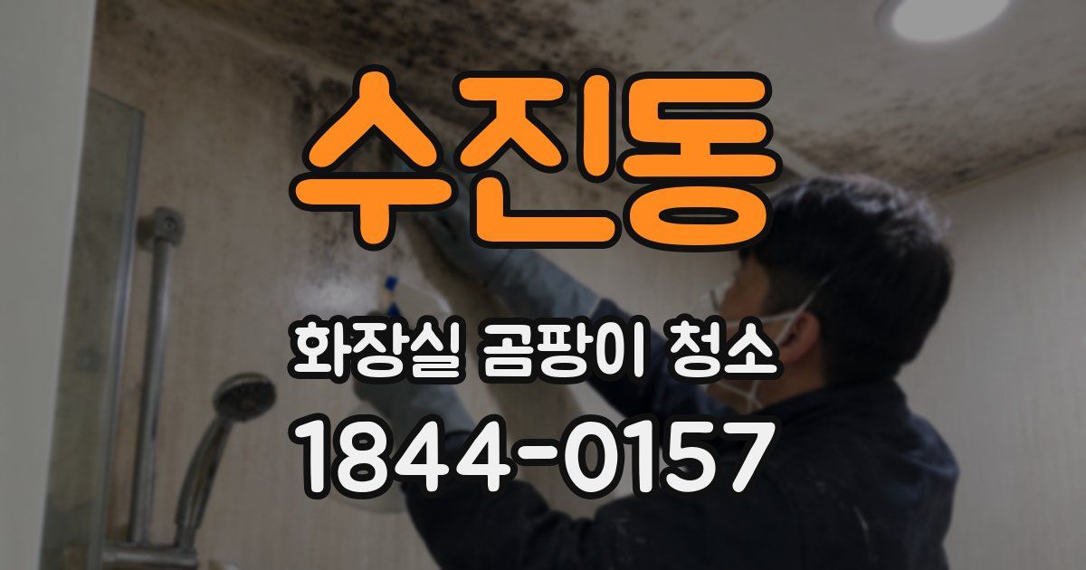 수진동 화장실 곰팡이 청소