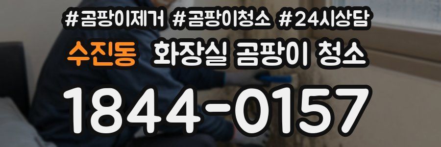 수진동 화장실 곰팡이 청소