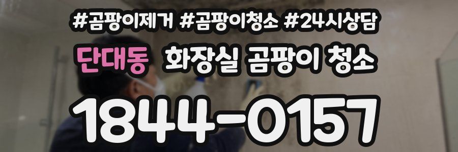 단대동 화장실 곰팡이 청소