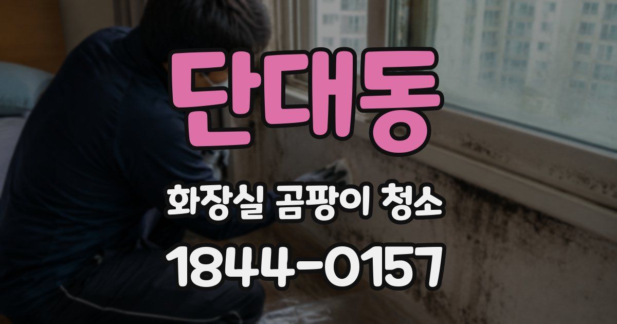 단대동 화장실 곰팡이 청소