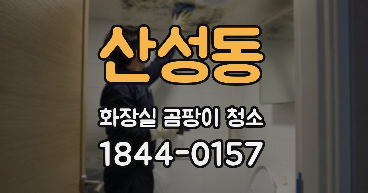 산성동 화장실 곰팡이 청소