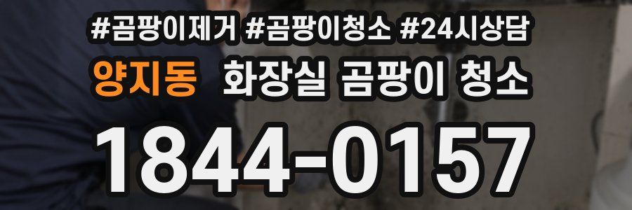 양지동 화장실 곰팡이 청소