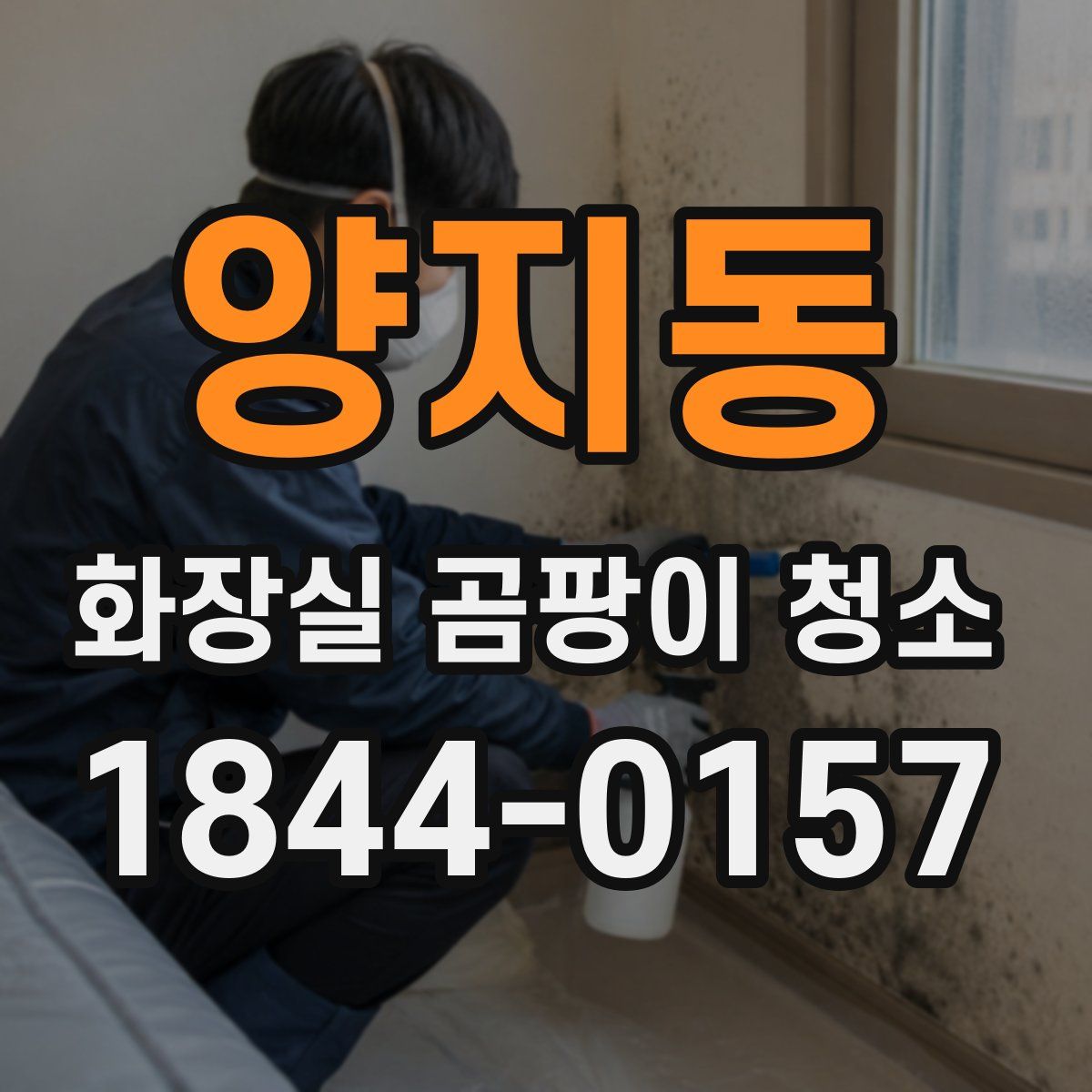양지동 화장실 곰팡이 청소