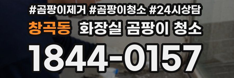 창곡동 화장실 곰팡이 청소