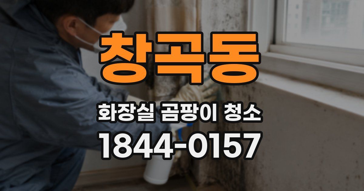 창곡동 화장실 곰팡이 청소