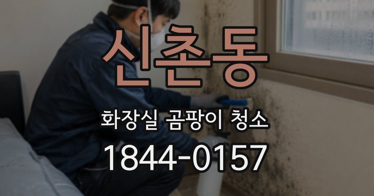 신촌동 화장실 곰팡이 청소