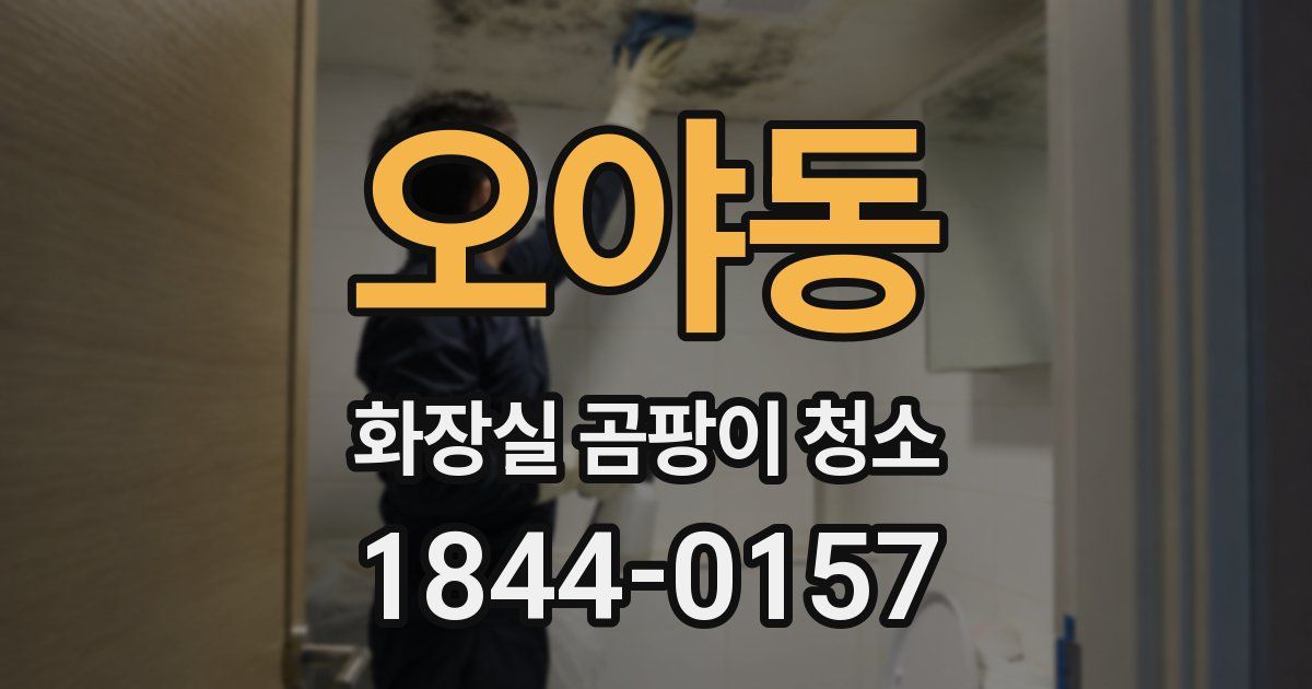 오야동 화장실 곰팡이 청소