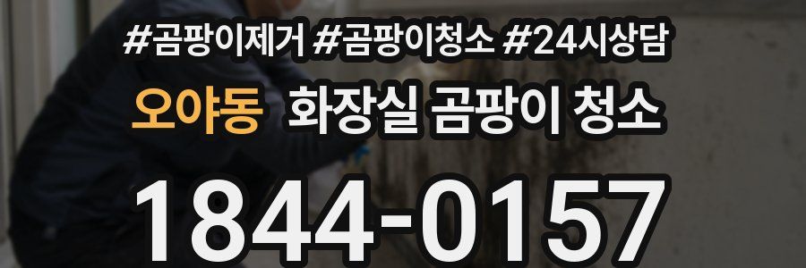 오야동 화장실 곰팡이 청소