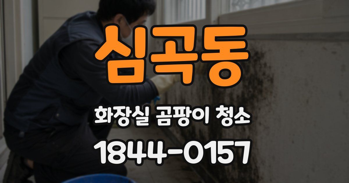 심곡동 화장실 곰팡이 청소