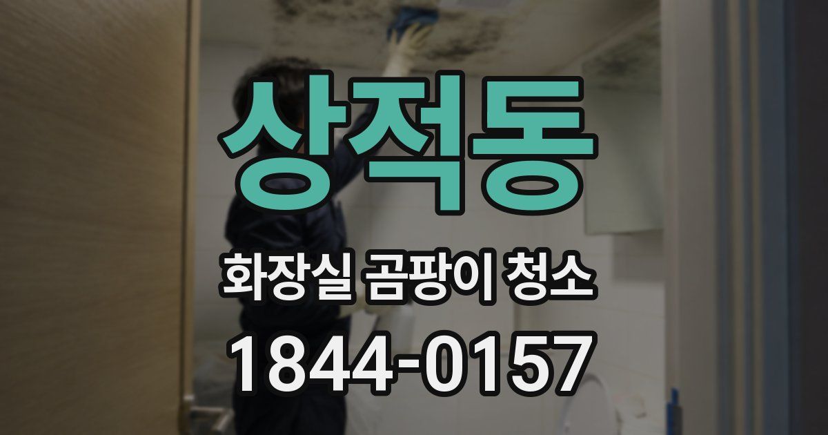 상적동 화장실 곰팡이 청소