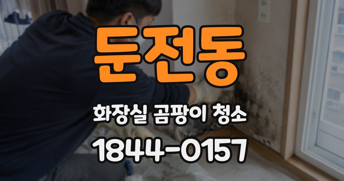 둔전동 화장실 곰팡이 청소
