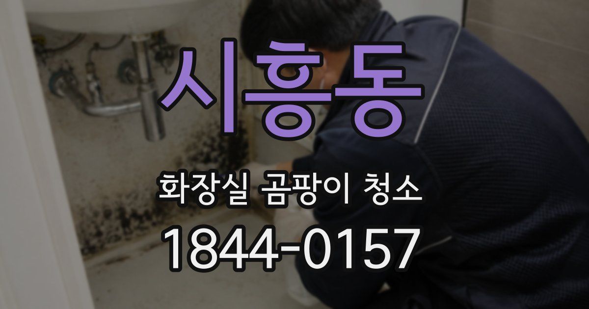 시흥동 화장실 곰팡이 청소