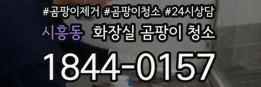 시흥동 화장실 곰팡이 청소