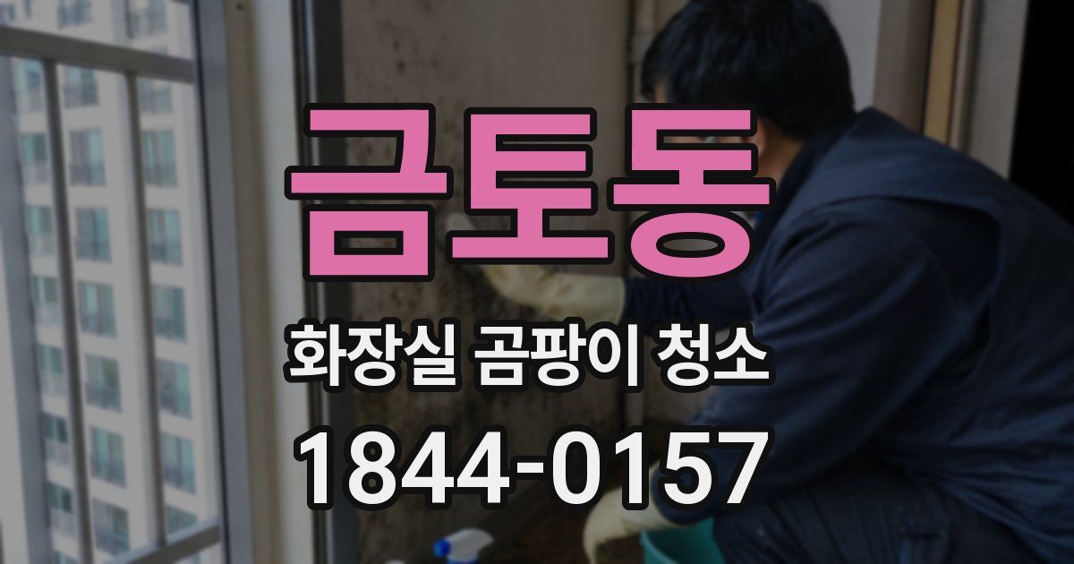 금토동 화장실 곰팡이 청소