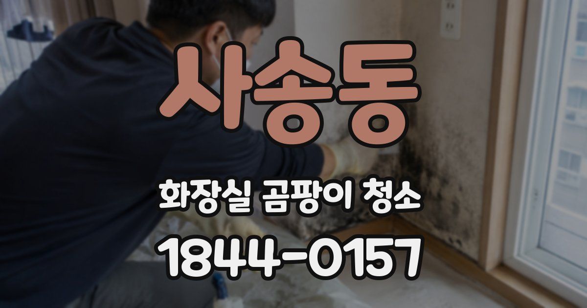사송동 화장실 곰팡이 청소