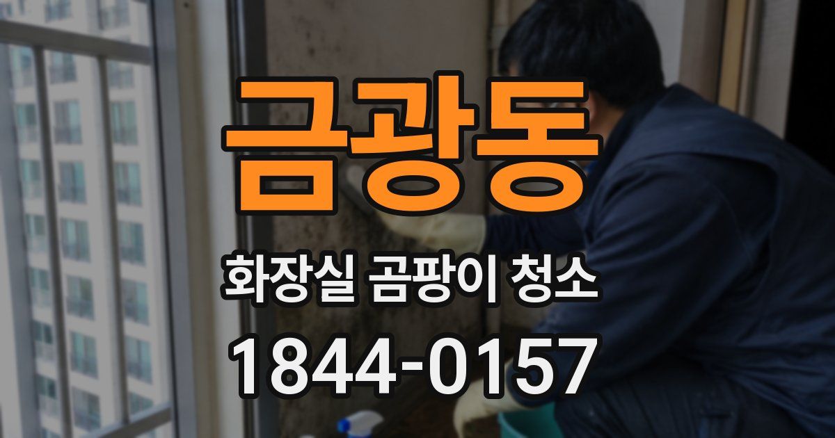 금광동 화장실 곰팡이 청소