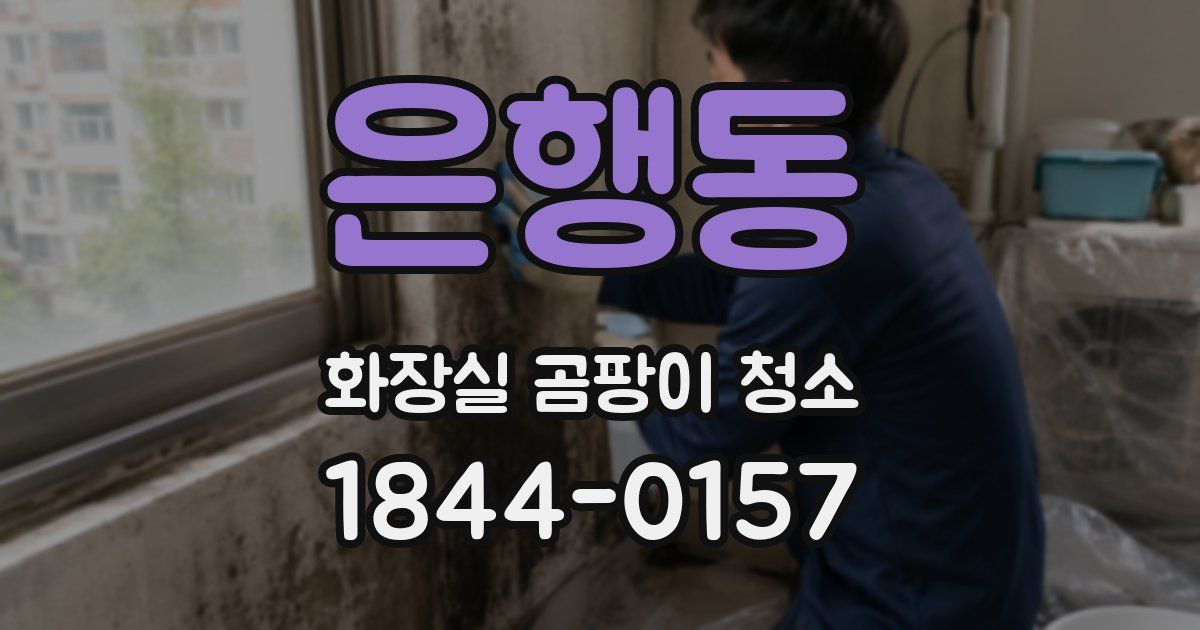 은행동 화장실 곰팡이 청소