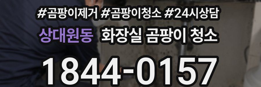 상대원동 화장실 곰팡이 청소