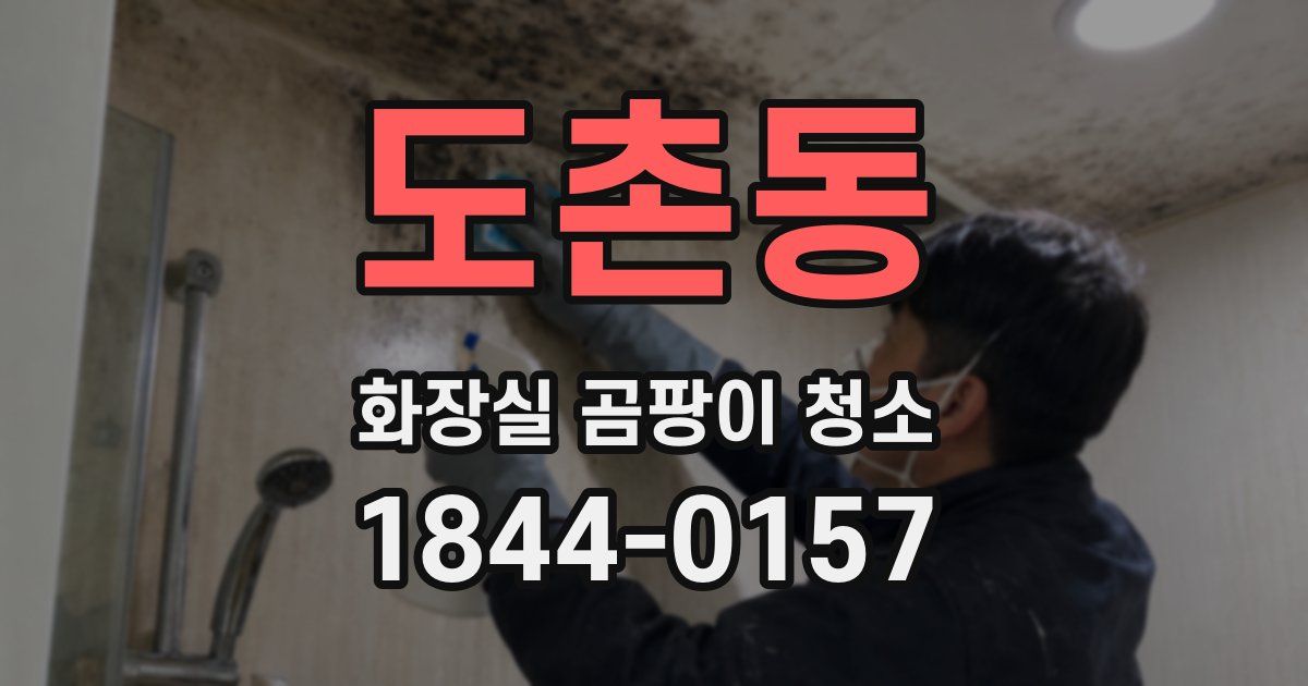 도촌동 화장실 곰팡이 청소