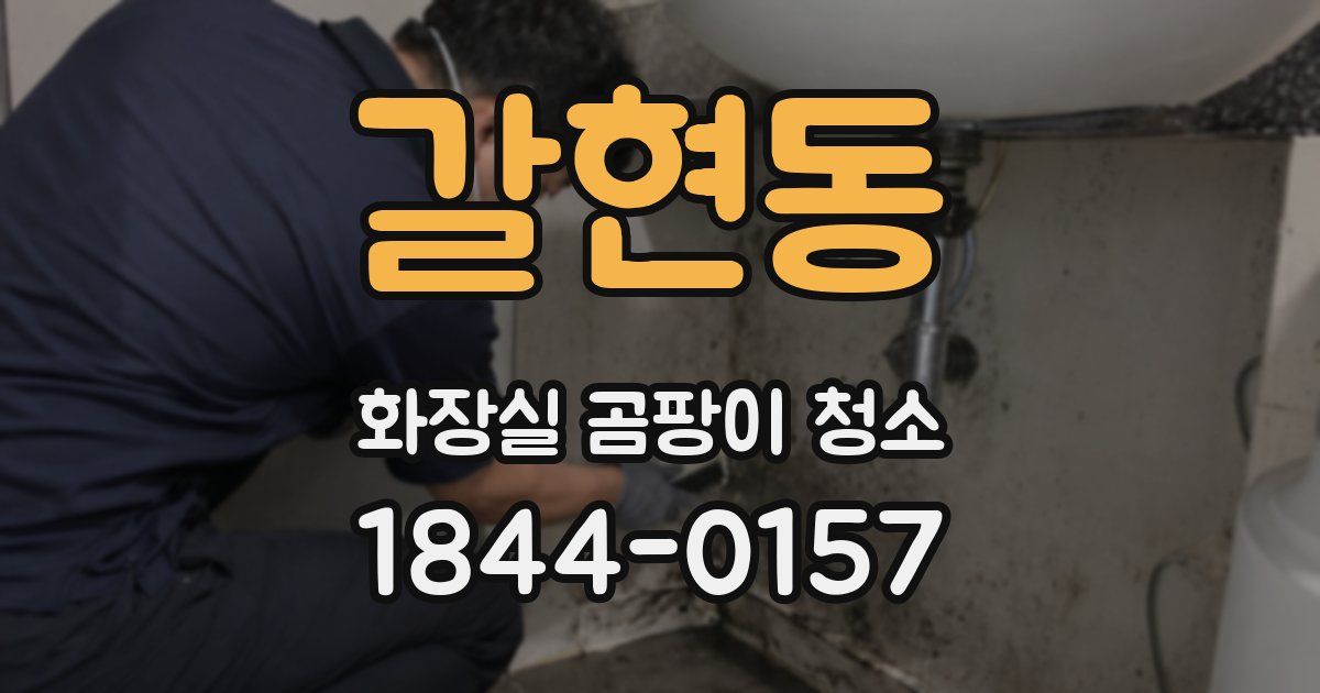 갈현동 화장실 곰팡이 청소