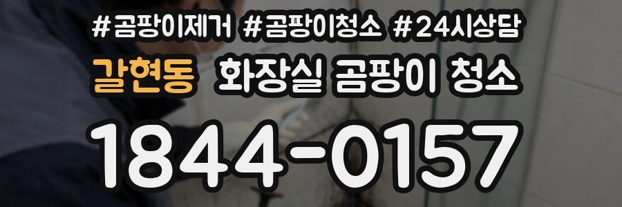 갈현동 화장실 곰팡이 청소