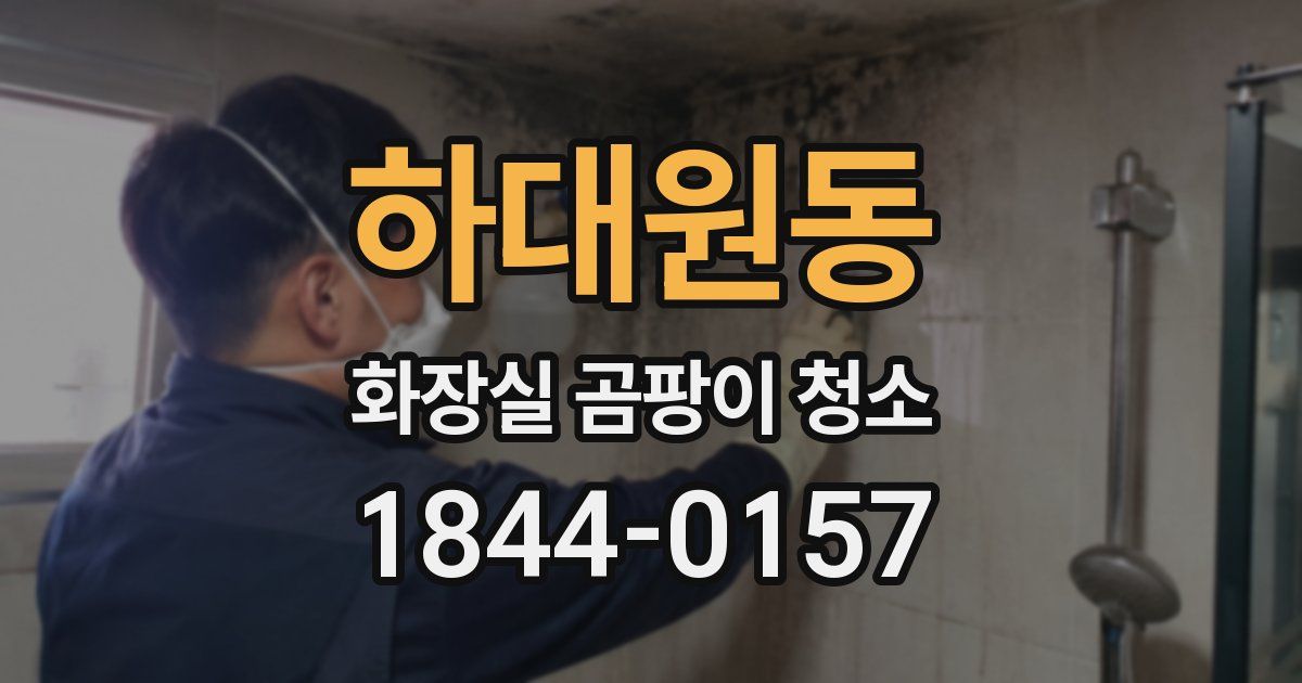 하대원동 화장실 곰팡이 청소