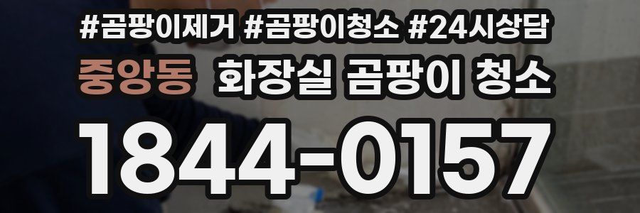 중앙동 화장실 곰팡이 청소