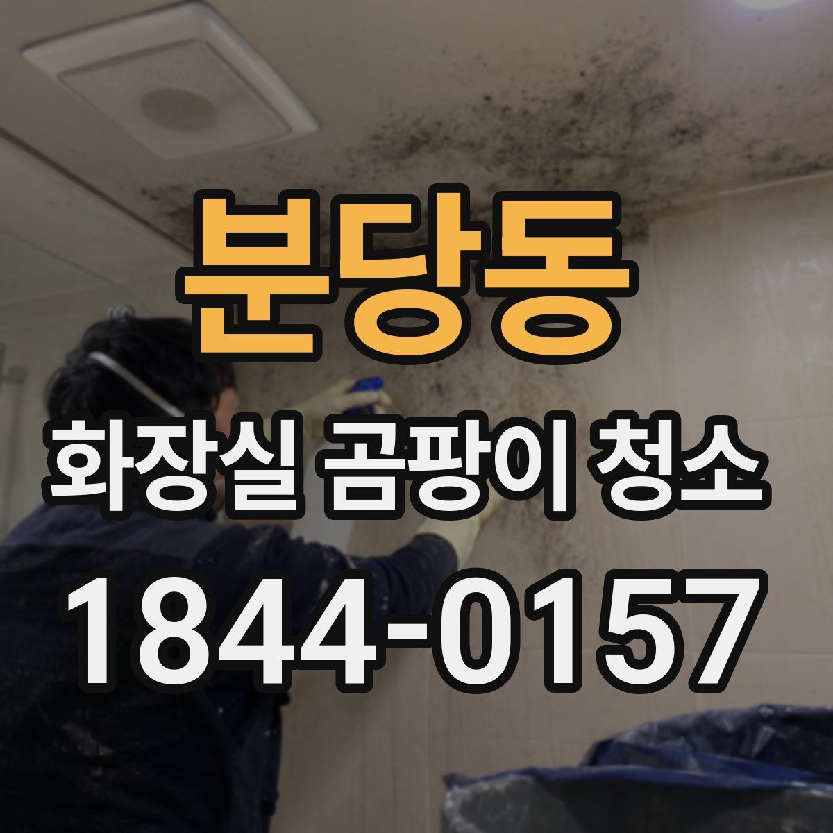 분당동 화장실 곰팡이 청소