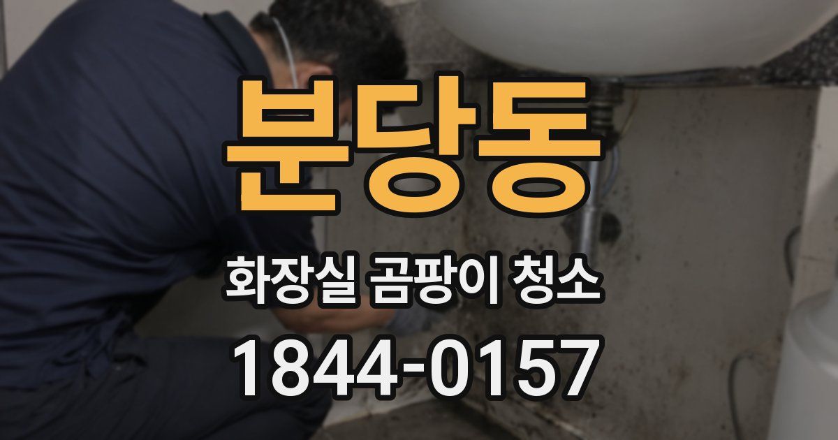 분당동 화장실 곰팡이 청소