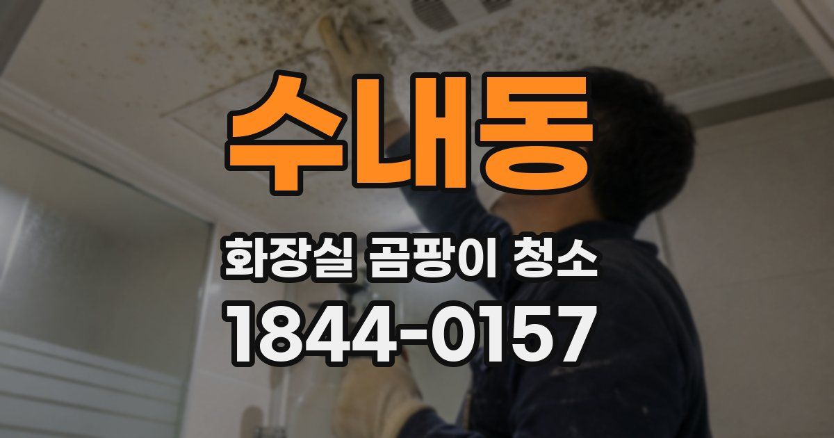 수내동 화장실 곰팡이 청소