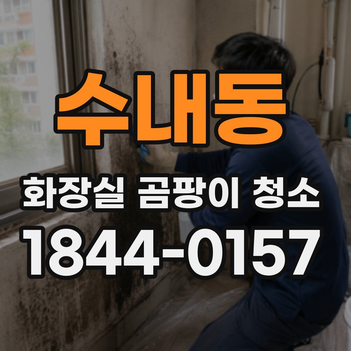 수내동 화장실 곰팡이 청소