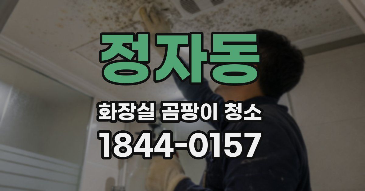 정자동 화장실 곰팡이 청소