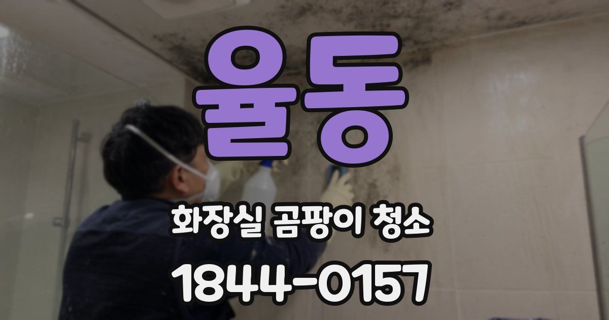율동 화장실 곰팡이 청소